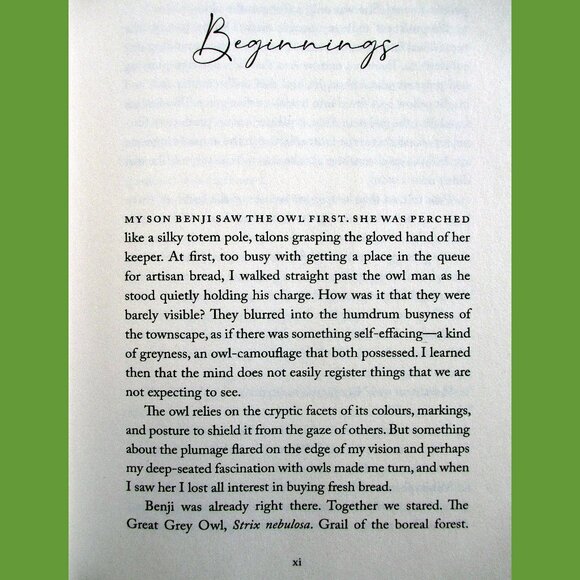 Book - The Wise Hours: A Journey into the Wild and Secret World of Owls - Picture 3 of 15